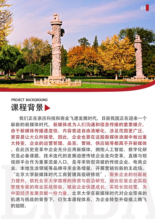 北大新媒体